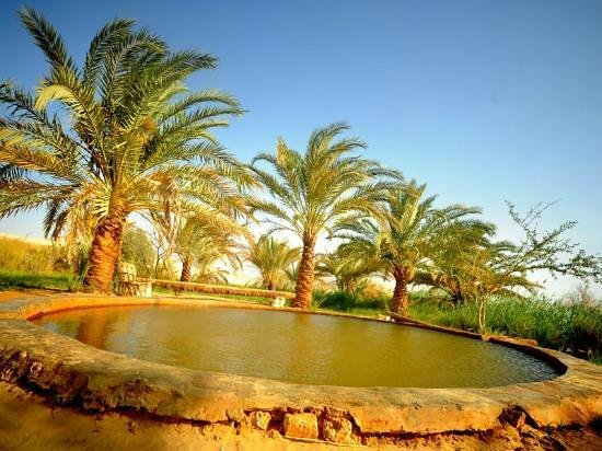 ( Bahariya Oasis 3 days 2 night ) two days one night  inside the desert & white desert & black desert& crystal mountain & hot spring & one day Internal visits& Hotel accommodation
