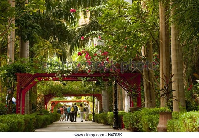 DAY TOUR TO ASWAN BOTANICAL GARDEN, THE TOMBS OF THE NOBLES